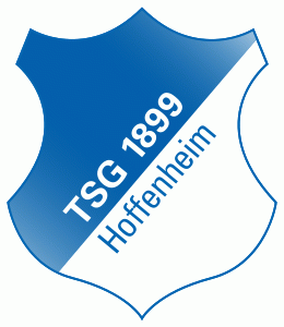 TSG 1899 Hoffenheim Pres Primary Logo DTF transfer for t shirt